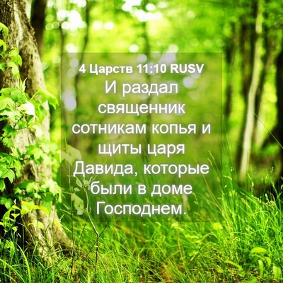 Picture 04 - 4 Царств 11:10 RUSV - И раздал священник - Bible Verse Picture