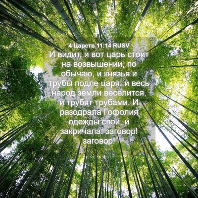 Picture 04 - 4 Царств 11:14 RUSV - И видит, и вот царь стоит на - Bible Verse Picture
