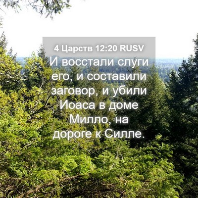 Picture 04 - 4 Царств 12:20 RUSV - И восстали слуги его, и - Bible Verse Picture