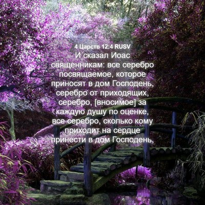 Picture 04 - 4 Царств 12:4 RUSV - И сказал Иоас священникам: - Bible Verse Picture
