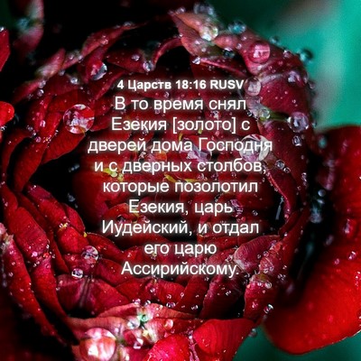 Picture 04 - 4 Царств 18:16 RUSV - В то время снял Езекия - Bible Verse Picture