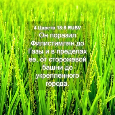 Picture 04 - 4 Царств 18:8 RUSV - Он поразил Филистимлян до - Bible Verse Picture