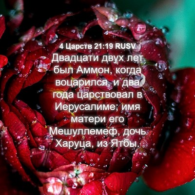 Picture 04 - 4 Царств 21:19 RUSV - Двадцати двух лет был - Bible Verse Picture
