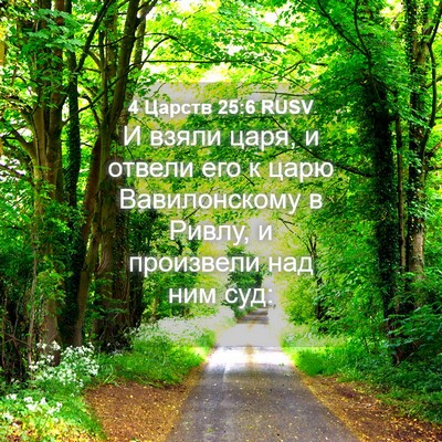 Picture 04 - 4 Царств 25:6 RUSV - И взяли царя, и отвели его к - Bible Verse Picture