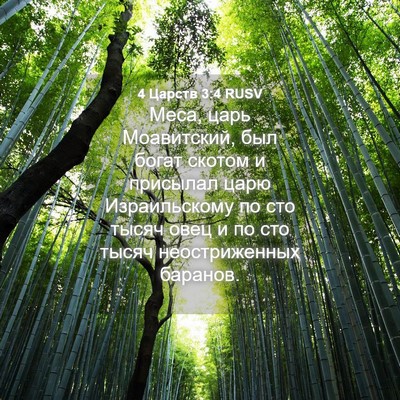 Picture 04 - 4 Царств 3:4 RUSV - Меса, царь Моавитский, был - Bible Verse Picture