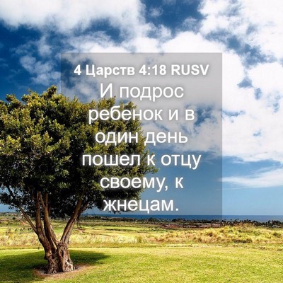 Picture 04 - 4 Царств 4:18 RUSV - И подрос ребенок и в один - Bible Verse Picture