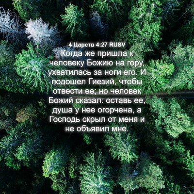 Picture 04 - 4 Царств 4:27 RUSV - Когда же пришла к человеку - Bible Verse Picture