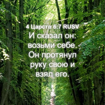 Picture 04 - 4 Царств 6:7 RUSV - И сказал он: возьми себе. Он - Bible Verse Picture