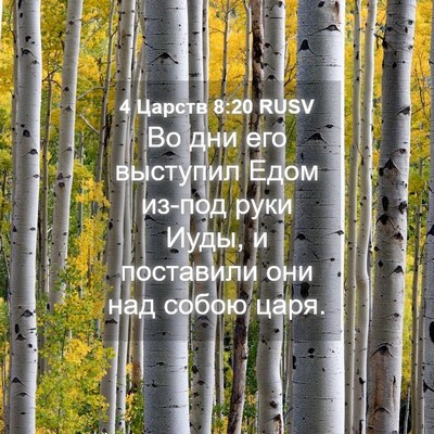 Picture 04 - 4 Царств 8:20 RUSV - Во дни его выступил Едом - Bible Verse Picture