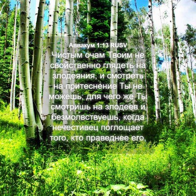 Picture 04 - Аввакум 1:13 RUSV - Чистым очам Твоим не - Bible Verse Picture