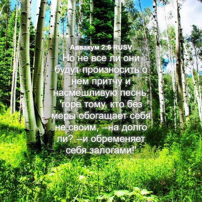 Picture 04 - Аввакум 2:6 RUSV - Но не все ли они будут - Bible Verse Picture