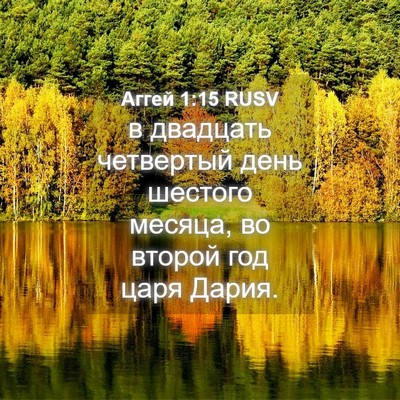 Picture 04 - Аггей 1:15 RUSV - в двадцать четвертый день - Bible Verse Picture