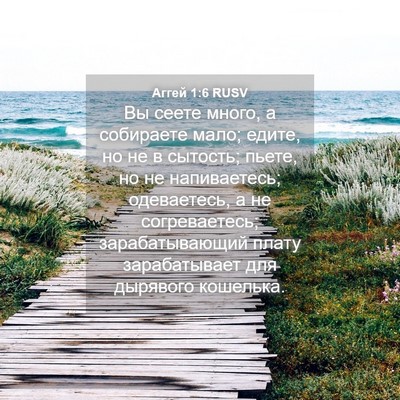 Picture 04 - Аггей 1:6 RUSV - Вы сеете много, а собираете - Bible Verse Picture