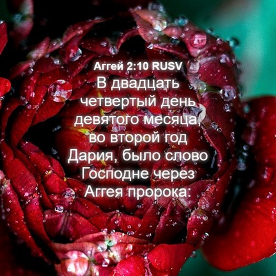 Picture 04 - Аггей 2:10 RUSV - В двадцать четвертый день - Bible Verse Picture
