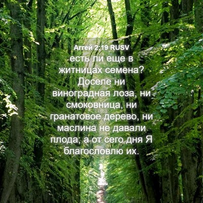 Picture 04 - Аггей 2:19 RUSV - есть ли еще в житницах - Bible Verse Picture