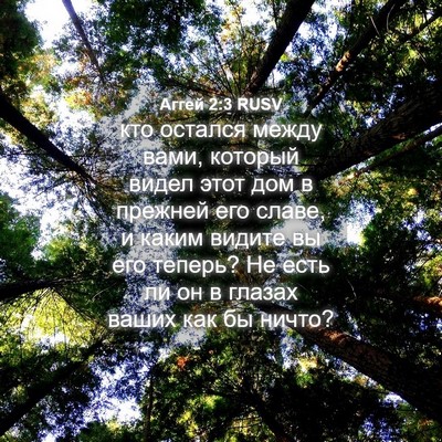 Picture 04 - Аггей 2:3 RUSV - кто остался между вами, - Bible Verse Picture