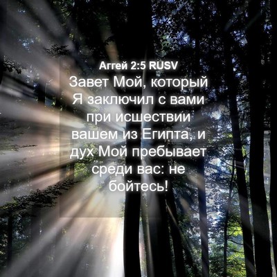 Picture 04 - Аггей 2:5 RUSV - Завет Мой, который Я - Bible Verse Picture