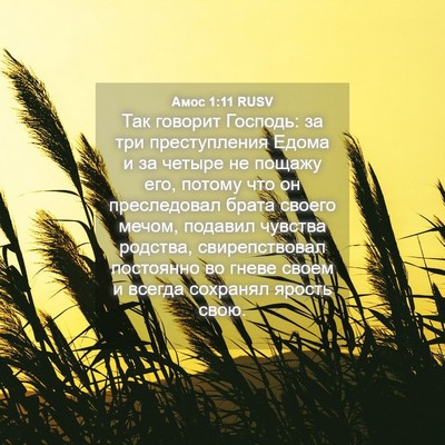 Picture 04 - Амос 1:11 RUSV - Так говорит Господь: за три - Bible Verse Picture