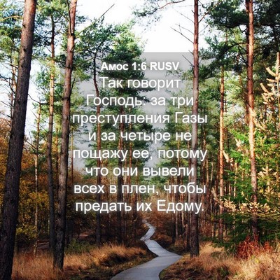 Picture 04 - Амос 1:6 RUSV - Так говорит Господь: за три - Bible Verse Picture