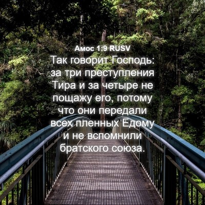 Picture 04 - Амос 1:9 RUSV - Так говорит Господь: за три - Bible Verse Picture