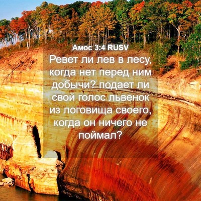 Picture 04 - Амос 3:4 RUSV - Ревет ли лев в лесу, когда - Bible Verse Picture