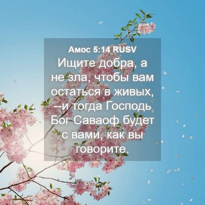 Picture 04 - Амос 5:14 RUSV - Ищите добра, а не зла, чтобы - Bible Verse Picture