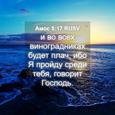 Picture 04 - Амос 5:17 RUSV - и во всех виноградниках - Bible Verse Picture
