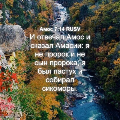 Picture 04 - Амос 7:14 RUSV - И отвечал Амос и сказал - Bible Verse Picture