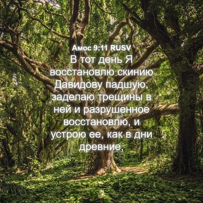Picture 04 - Амос 9:11 RUSV - В тот день Я восстановлю - Bible Verse Picture
