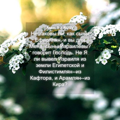 Picture 04 - Амос 9:7 RUSV - Не таковы ли, как сыны - Bible Verse Picture