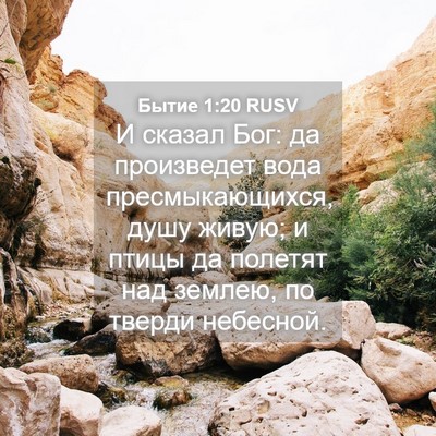 Picture 04 - Бытие 1:20 RUSV - И сказал Бог: да произведет - Bible Verse Picture