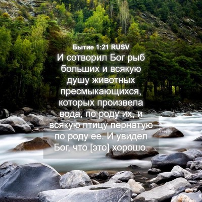 Picture 04 - Бытие 1:21 RUSV - И сотворил Бог рыб больших - Bible Verse Picture