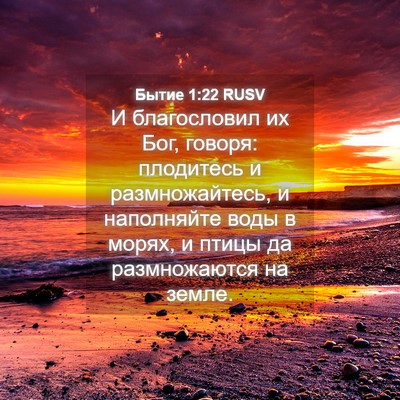 Picture 04 - Бытие 1:22 RUSV - И благословил их Бог, - Bible Verse Picture