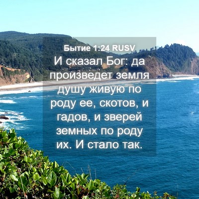 Picture 04 - Бытие 1:24 RUSV - И сказал Бог: да произведет - Bible Verse Picture