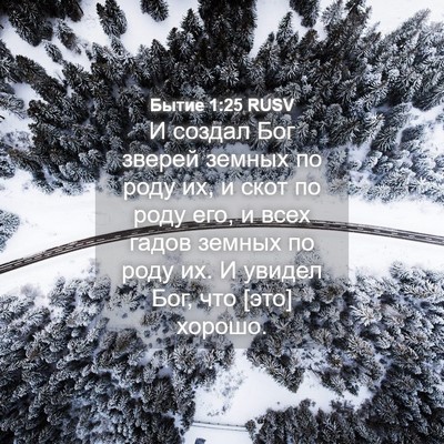 Picture 04 - Бытие 1:25 RUSV - И создал Бог зверей земных - Bible Verse Picture
