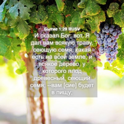 Picture 04 - Бытие 1:29 RUSV - И сказал Бог: вот, Я дал вам - Bible Verse Picture