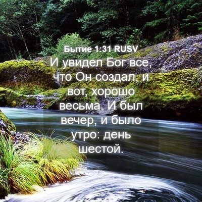Picture 04 - Бытие 1:31 RUSV - И увидел Бог все, что Он - Bible Verse Picture