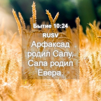 Picture 04 - Бытие 10:24 RUSV - Арфаксад родил Салу, Сала - Bible Verse Picture