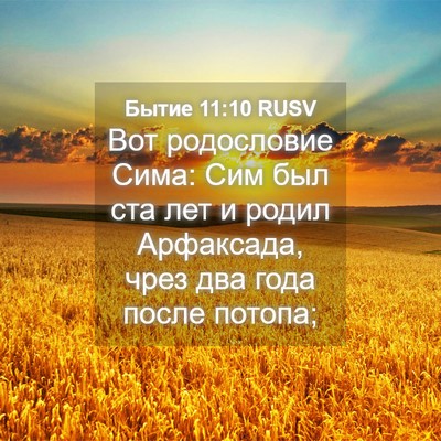 Picture 04 - Бытие 11:10 RUSV - Вот родословие Сима: Сим - Bible Verse Picture