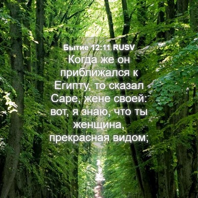 Picture 04 - Бытие 12:11 RUSV - Когда же он приближался к - Bible Verse Picture