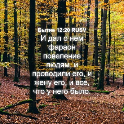 Picture 04 - Бытие 12:20 RUSV - И дал о нем фараон - Bible Verse Picture