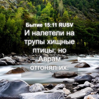 Picture 04 - Бытие 15:11 RUSV - И налетели на трупы хищные - Bible Verse Picture