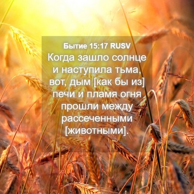 Picture 04 - Бытие 15:17 RUSV - Когда зашло солнце и - Bible Verse Picture