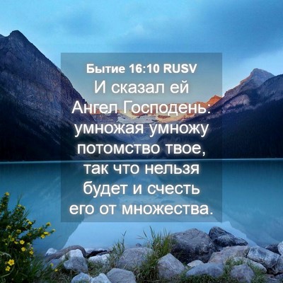 Picture 04 - Бытие 16:10 RUSV - И сказал ей Ангел - Bible Verse Picture
