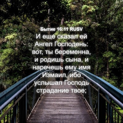 Picture 04 - Бытие 16:11 RUSV - И еще сказал ей Ангел - Bible Verse Picture