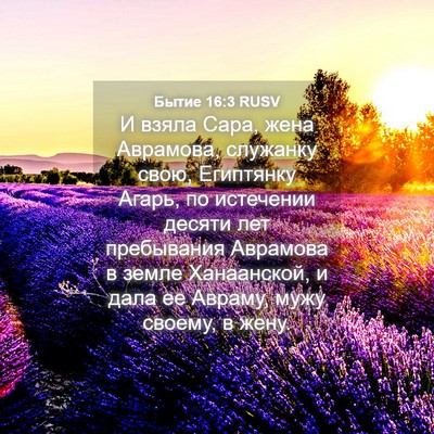 Picture 04 - Бытие 16:3 RUSV - И взяла Сара, жена - Bible Verse Picture