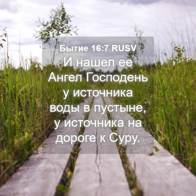 Picture 04 - Бытие 16:7 RUSV - И нашел ее Ангел Господень - Bible Verse Picture