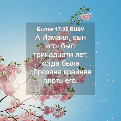 Picture 04 - Бытие 17:25 RUSV - А Измаил, сын его, был - Bible Verse Picture