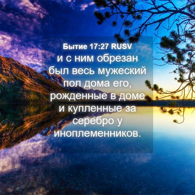 Picture 04 - Бытие 17:27 RUSV - и с ним обрезан был весь - Bible Verse Picture