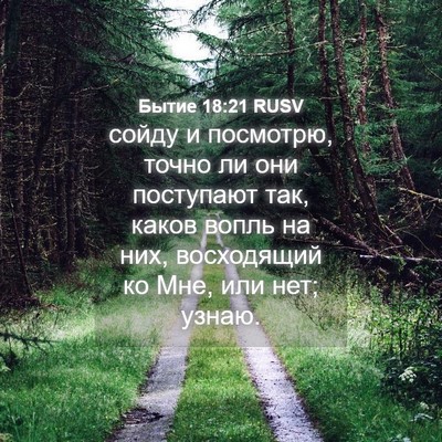 Picture 04 - Бытие 18:21 RUSV - сойду и посмотрю, точно ли - Bible Verse Picture